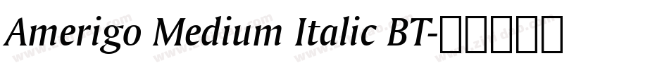 Amerigo Medium Italic BT字体转换